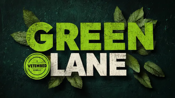 Green Lane Customs Clearance for Verified Licensed Toy Exporters